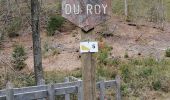 Tour Wandern Florenville - Le chemin de la Roche à l'Appel  - Photo 3