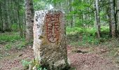 Randonnée Marche Saint-Martin-en-Vercors - Pas st Martin - Photo 3