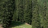 Randonnée A pied Cortina d'Ampezzo - IT-8 - Photo 2