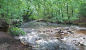 Tour Wandern Jalhay - moulin Thorez . pont du centenaire / aller via la hoêgne  / retour via ravel Sart station  - Photo 12