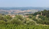 Percorso A piedi Gambassi Terme - Dolce campagna, antiche mura 13 - Photo 6