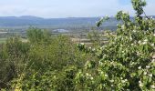 Tocht Stappen La Garde-Adhémar - Le Val des Nymphes  - Photo 1