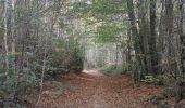 Trail Walking Clavier - A la découverte de Pailhe  - Photo 17