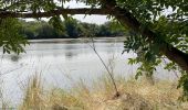 Excursión Senderismo La Charité-sur-Loire - Balade le long de la Loire - Photo 8