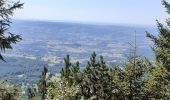 Tocht Stappen Orcines - Le puy de dôme  - Photo 6