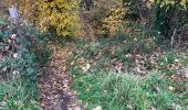 Tour Wandern Aalst - 20221204 Verkenning Moorsel - Photo 11