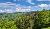 Tour Wandern Montcel - MASSIF DES BAUGES: PLATEAU DU REVARD AUTOUR DE LA CROIX DES BERGERS - Photo 9