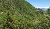 Randonnée Marche Touët-sur-Var - Touet sur Var vers Villars sur Var - Photo 3