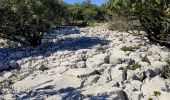 Excursión Senderismo La Roquebrussanne - SityTrail - 2718180 - baume-fere-font-coulette-croix-de-berard - Photo 8