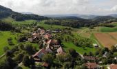 Tour Zu Fuß Bözberg - Linn - Effingen - Photo 6