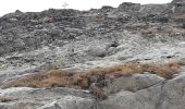 Excursión Senderismo Aussois - Du Plant Amont à la pointe de l'observatoire - Photo 20