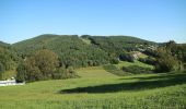 Trail On foot Stattegg - Wanderweg 26 - Photo 4