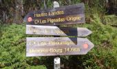 Trail On foot Mazères - Les Paloumayres : circuit départemental - Photo 3