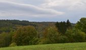 Tour Wandern Theux - 20221103 - Polleur 6.6 Km - Photo 14