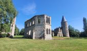 Randonnée Marche Chaumes-en-Brie - Châteaux autour de Chaumes en Brie - Photo 13