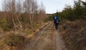 Trail Walking La Roche-en-Ardenne - Balade à Samrée - Photo 2