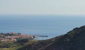 Tour Wandern Collioure - les Batteries Taillefer la Madeloc_T - Photo 8