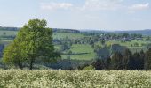 Tocht Stappen Vielsalm - rando ennal 11-05-2022 - Photo 11