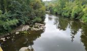 Tour Wandern Airvault - DEUX SEVRES / AIRVAULT: LES ANCIENS MOULINS - Photo 9