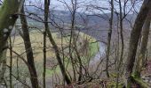 Tour Wandern Esneux - Famelette Roche aux faucons Strivay - Photo 2