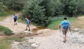 Trail Walking Le Malzieu-Ville - LE MALZIEU - APCHER  - Photo 14