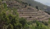 Trail Walking Riomaggiore - Riomaggiore to Porto Venere  - Photo 16