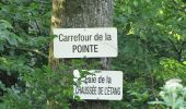 Trail Walking Dampleux - en forêt de Retz_80_sur la Route Tortue et la Route Droite - Photo 19