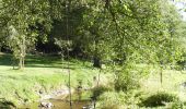 Tocht Te voet La Roche-en-Ardenne - 10. Fond de Pouhou - Photo 1