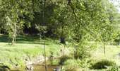 Trail On foot La Roche-en-Ardenne - 10. Fond de Pouhou - Photo 1