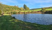 Tour Wandern Veix - Tour du Puy d'Orliac - Photo 6