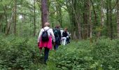 Excursión Senderismo Chimay - Chimay la fagne labo 2019-5-30 - Photo 3