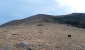 Trail Walking Banyuls-sur-Mer - 22 08 / 8-9-10 Oli40 - épisode 1 - Photo 2