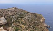 Tocht Stappen Ħad-Dingli - MALTE 2024 / 01 Dingly's Cliffs - Photo 4