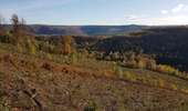 Trail Horseback riding Viroinval - Oignies- Nobertin- La folie-Oignies - Photo 5