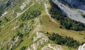 Trail Walking Lans-en-Vercors - les allieres, COL de l arc, et pic ST Michel - Photo 10