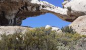 Excursión Senderismo La Ciotat - Dent du chat la Ciotat - Photo 10