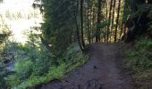 Tour Wandern Chamonix-Mont-Blanc - Cascade du Dard Glacier du Bosson - Photo 13