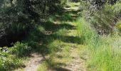 Trail Walking Saint-Fortunat-sur-Eyrieux - 07 st fortunat dubieres st Vincent dufort - Photo 10