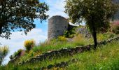 Randonnée Marche Flassans-sur-Issole - Boucle autour de Flassans-sur-Issole - Photo 8