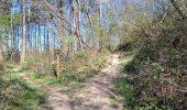 Trail Walking Chaumont-Gistoux - GS 2025_05_04 Hauts-Champs Livr.2/3e Définitif - Photo 1