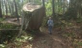 Randonnée Marche Fontainebleau - butte à guay - Photo 1