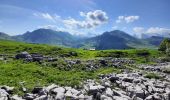 Trail Walking Le Grand-Bornand - BARGY: LE CHINAILLON - LAC DE LESSY - Photo 8