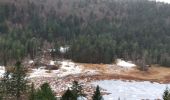 Tocht Stappen Wildenstein - Vosges 2020 : col de Bramont - Rainkopf (2020-12-20).ori - Photo 1