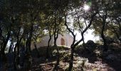 Trail Walking Carcès - 20191016 Carcès le Lac 2 - Photo 2