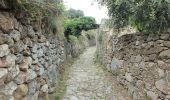 Trail Walking Santa-Reparata-di-Balagna - Occiglioni - Sant'Antonino en passant par le couvent de Corbara - Photo 3