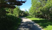 Tour Wandern Gresse-en-Vercors - Le Pas de Serpaton - Photo 17