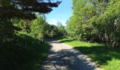 Tocht Stappen Gresse-en-Vercors - Le Pas de Serpaton - Photo 17