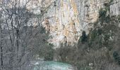 Tour Wandern La Palud-sur-Verdon - Sentier Blanc Martel - Photo 10