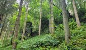 Tocht Stappen Gedinne - rando bourseigne vieille 15-06-2024 - Photo 9