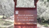 Percorso Marcia Roquebrune-sur-Argens - les hauts de Roquebrune sur Argens - Photo 8